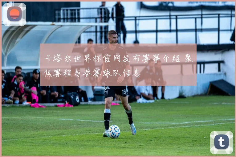 卡塔尔世界杯官网发布赛事介绍 聚焦赛程与参赛球队信息