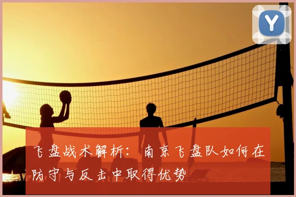 飞盘战术解析:南京飞盘队如何在防守与反击中取得优势