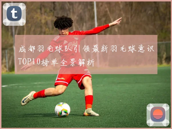 成都羽毛球队引领最新羽毛球意识TOP10榜单全景解析