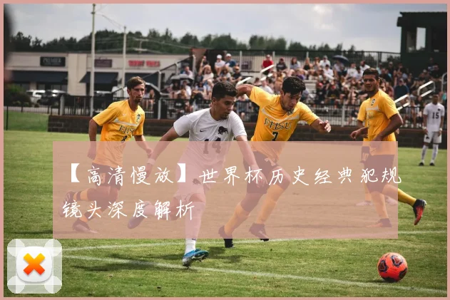 【高清慢放】世界杯历史经典犯规镜头深度解析
