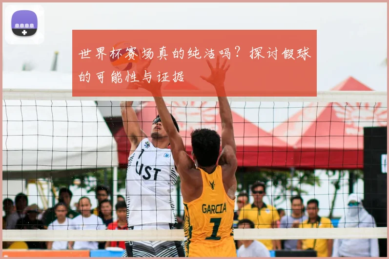 世界杯赛场真的纯洁吗？探讨假球的可能性与证据