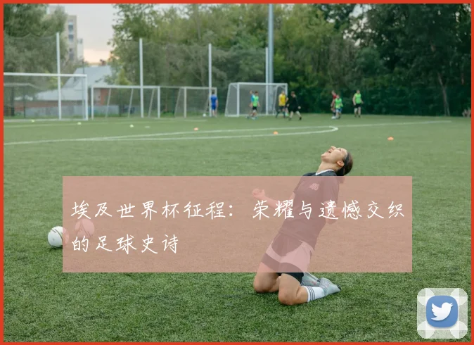 埃及世界杯征程：荣耀与遗憾交织的足球史诗