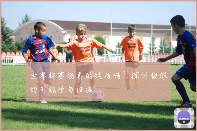 世界杯赛场真的纯洁吗?探讨假球的可能性与证据