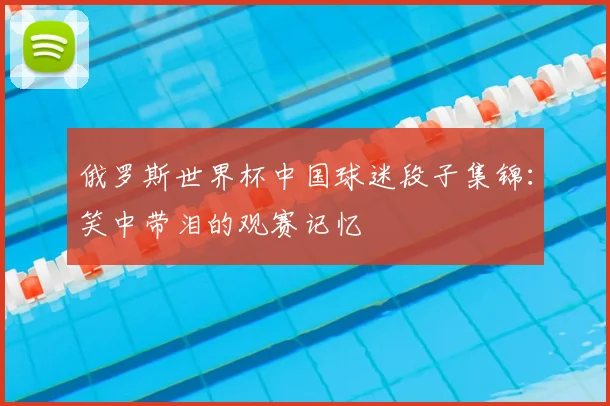 俄罗斯世界杯中国球迷段子集锦：笑中带泪的观赛记忆