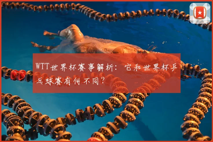 WTT世界杯赛事解析:它和世界杯乒乓球赛有何不同?