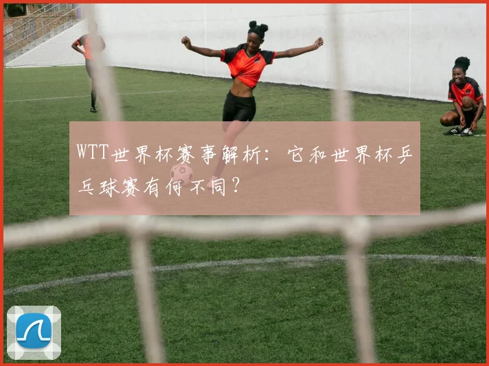 WTT世界杯赛事解析：它和世界杯乒乓球赛有何不同？