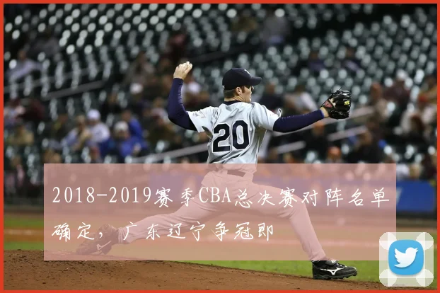 2018-2019赛季CBA总决赛对阵名单确定,广东辽宁争冠即